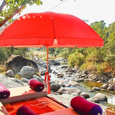 Prakriti Aalay - Riverside Mountain View Boutique Eco Resort 达兰萨拉 外观 照片