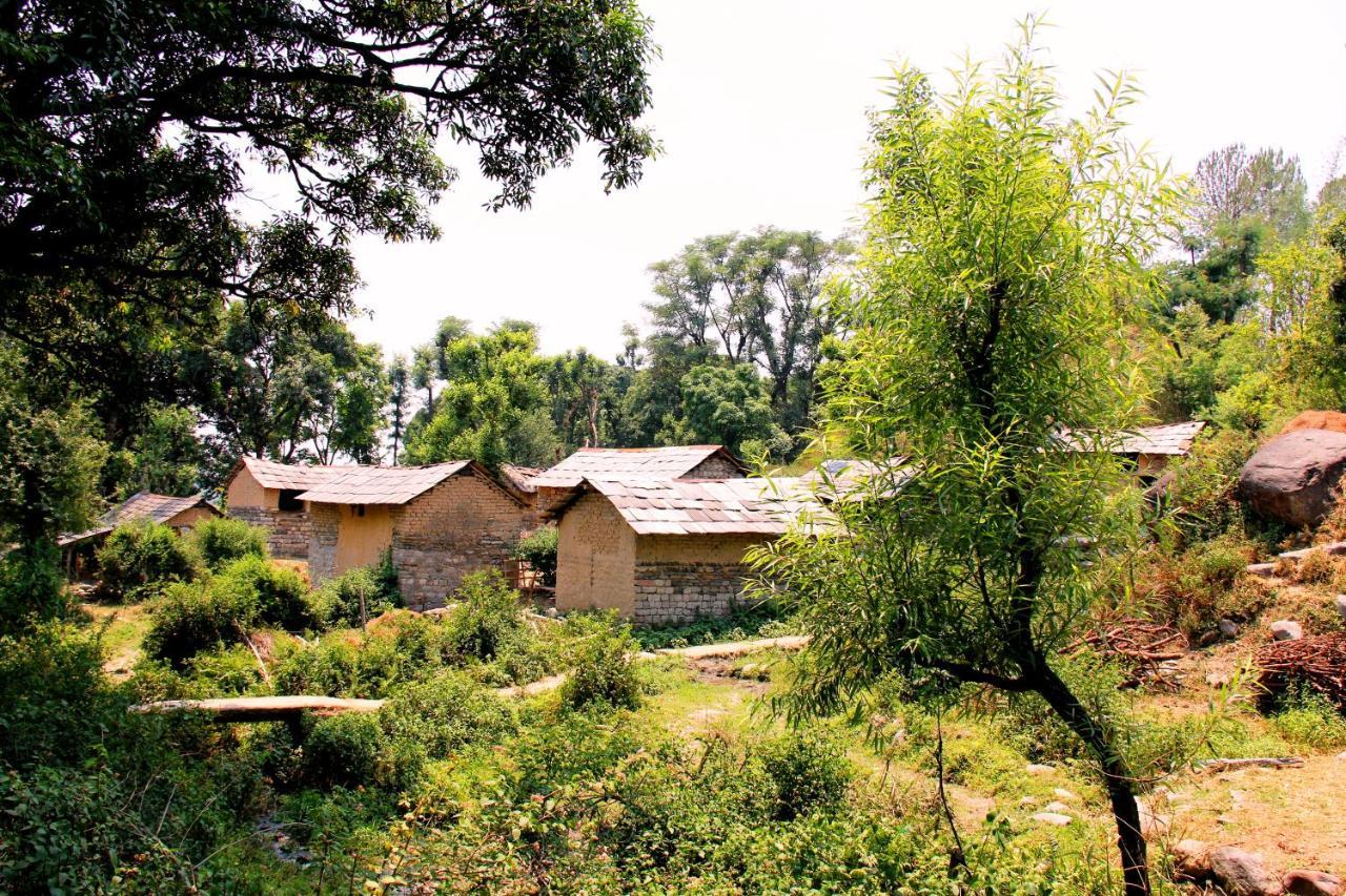 Prakriti Aalay - Riverside Mountain View Boutique Eco Resort 达兰萨拉 外观 照片