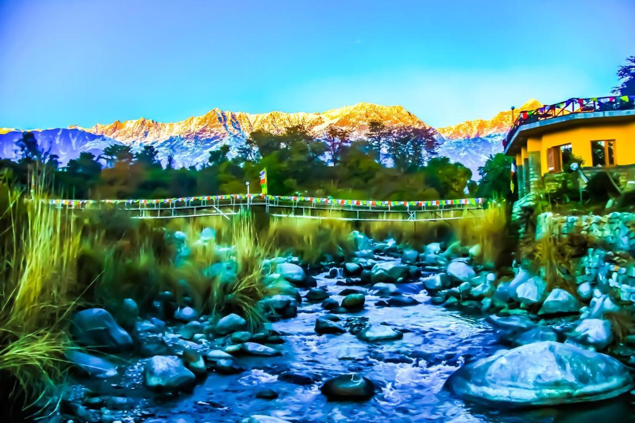 Prakriti Aalay - Riverside Mountain View Boutique Eco Resort 达兰萨拉 外观 照片