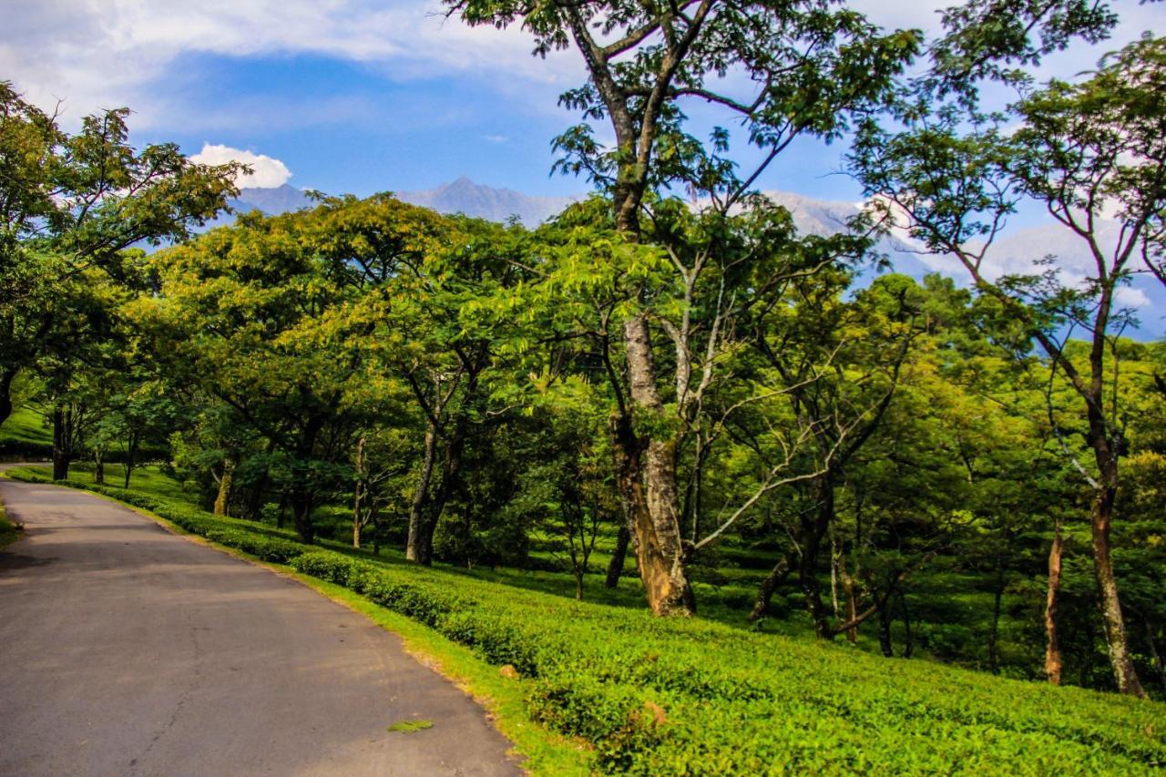 Prakriti Aalay - Riverside Mountain View Boutique Eco Resort 达兰萨拉 外观 照片