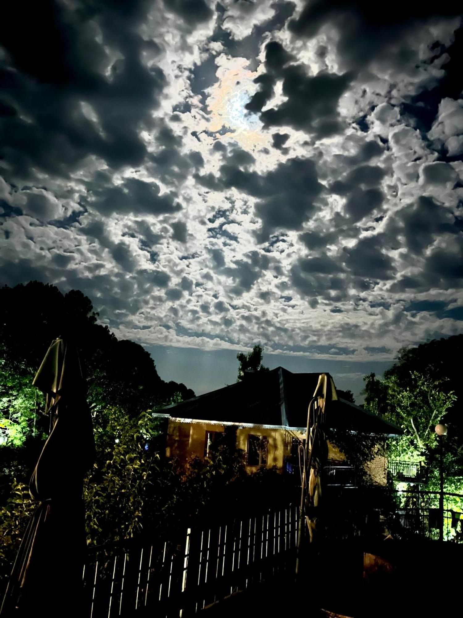 Prakriti Aalay - Riverside Mountain View Boutique Eco Resort 达兰萨拉 外观 照片